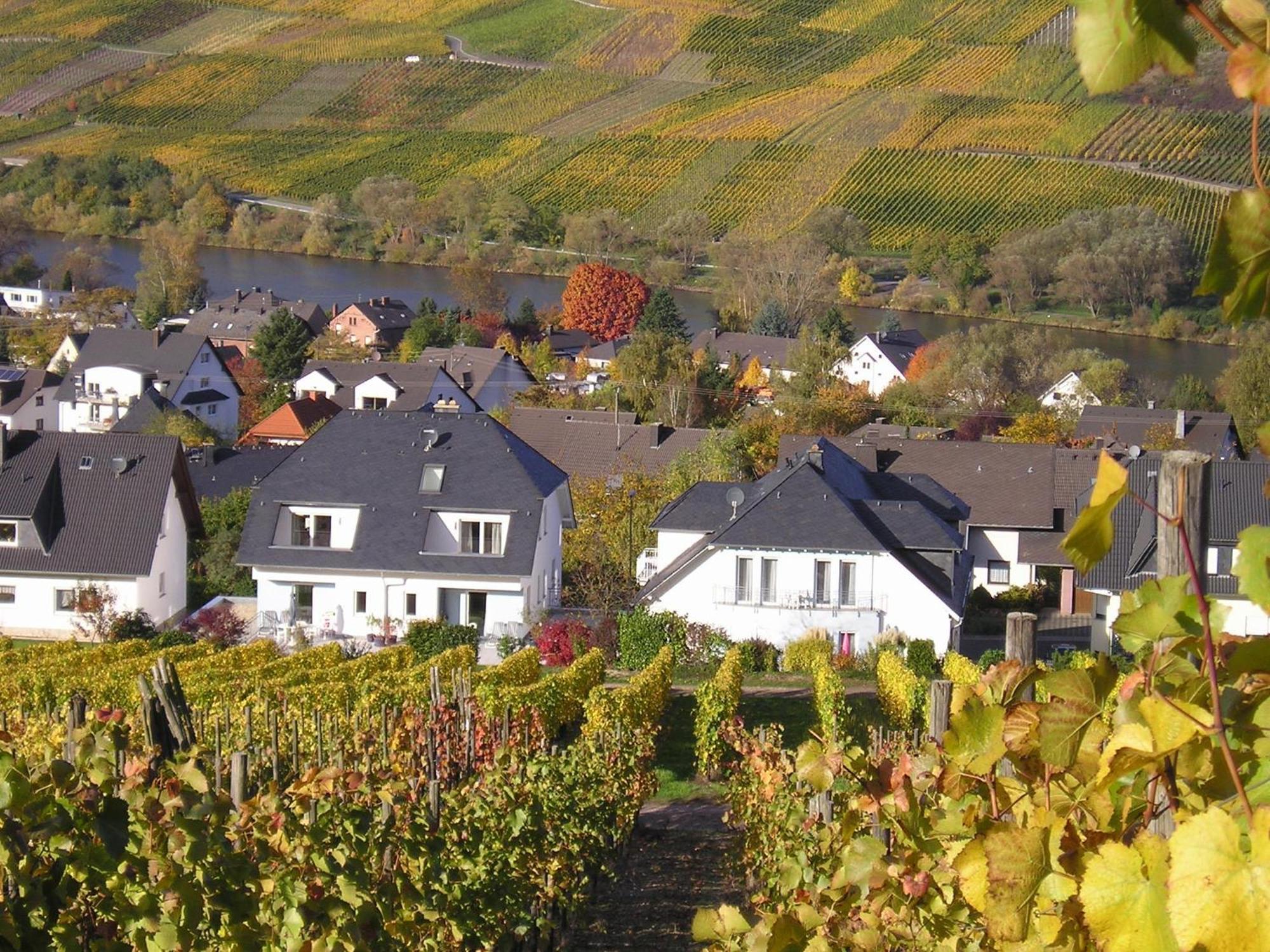 Roussel - Hotel Restaurant Bernkastel-Kues Exteriör bild